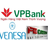FE Credit, DeAura Các công ty con của VPBank hoạt động như thế nào