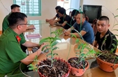 Ngành giáo dục huyện Lạc Sơn Hòa Bình yêu cầu giáo viên không tham gia mua bán hoa lan đột biến gen