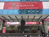 Agribank Nợ xấu tăng 30 , “ôm” 89 bất động sản thế chấp