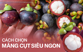 Mách bạn bí quyết chọn măng cụt 10 quả ngon ngọt cả 10