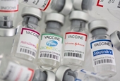 WHO chính thức khuyến cáo đối tượng tiêm vaccine COVID-19 tăng cường
