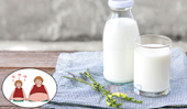 Top 6 loại sữa không thể bỏ qua dành cho “Hội những người ăn mãi chẳng béo”