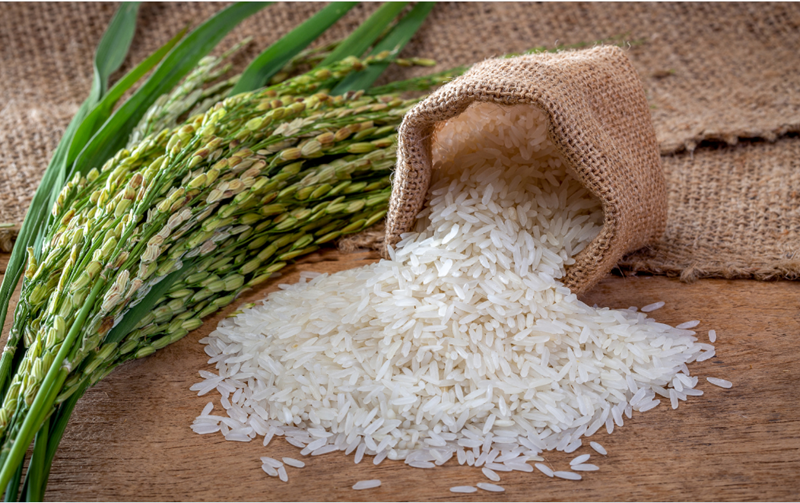 Review 5 loại gạo đang hot trên thị trường Có loại được mệnh danh ngon nhất thế giới, có loại cực ngon mà chỉ hơn 20k kg