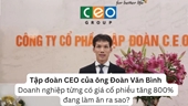 Tập đoàn CEO của ông Đoàn Văn Bình - Doanh nghiệp từng có giá cổ phiếu tăng 800 đang làm ăn ra sao