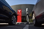 40 000 xe Tesla bị lỗi trợ lực lái điện, buộc hãng xe phải thu hồi